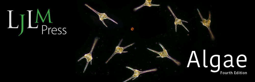 Algae banner with Ceratium